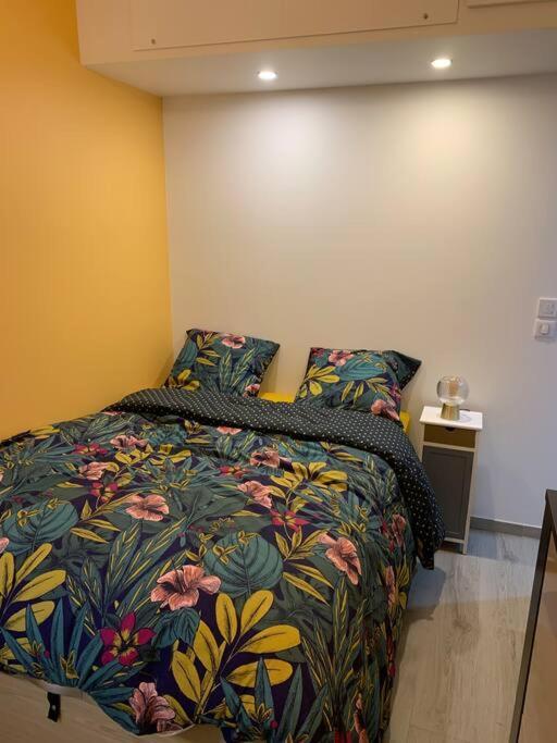 קאן Appartement Etat Neuf La Chantalane -Proche Centre-Ville מראה חיצוני תמונה