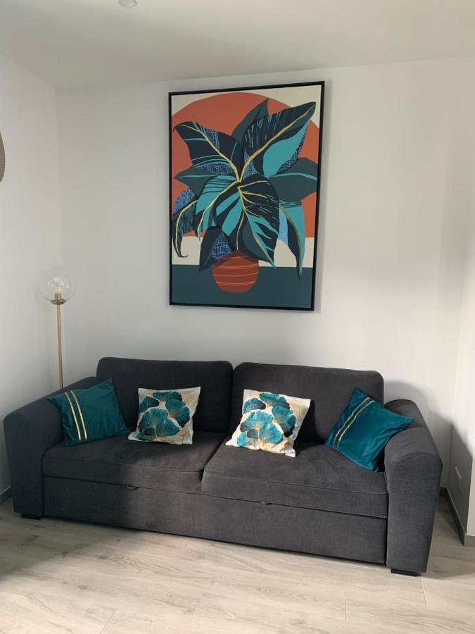 קאן Appartement Etat Neuf La Chantalane -Proche Centre-Ville מראה חיצוני תמונה